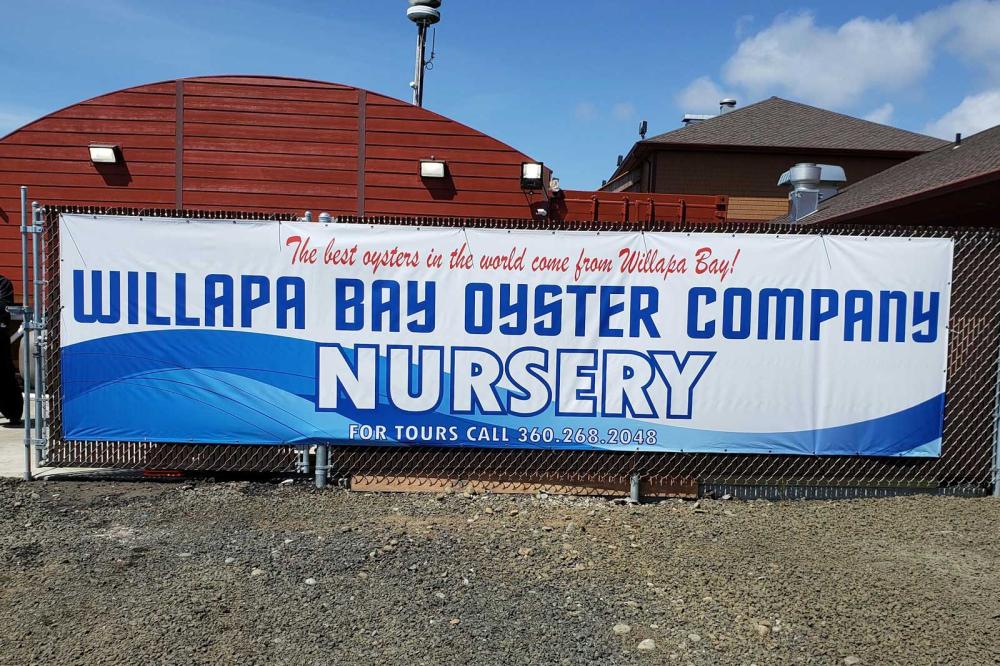 Willapa Bay Oyster Co.